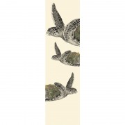 Bookmark -  Hawksbill Sea Turtle